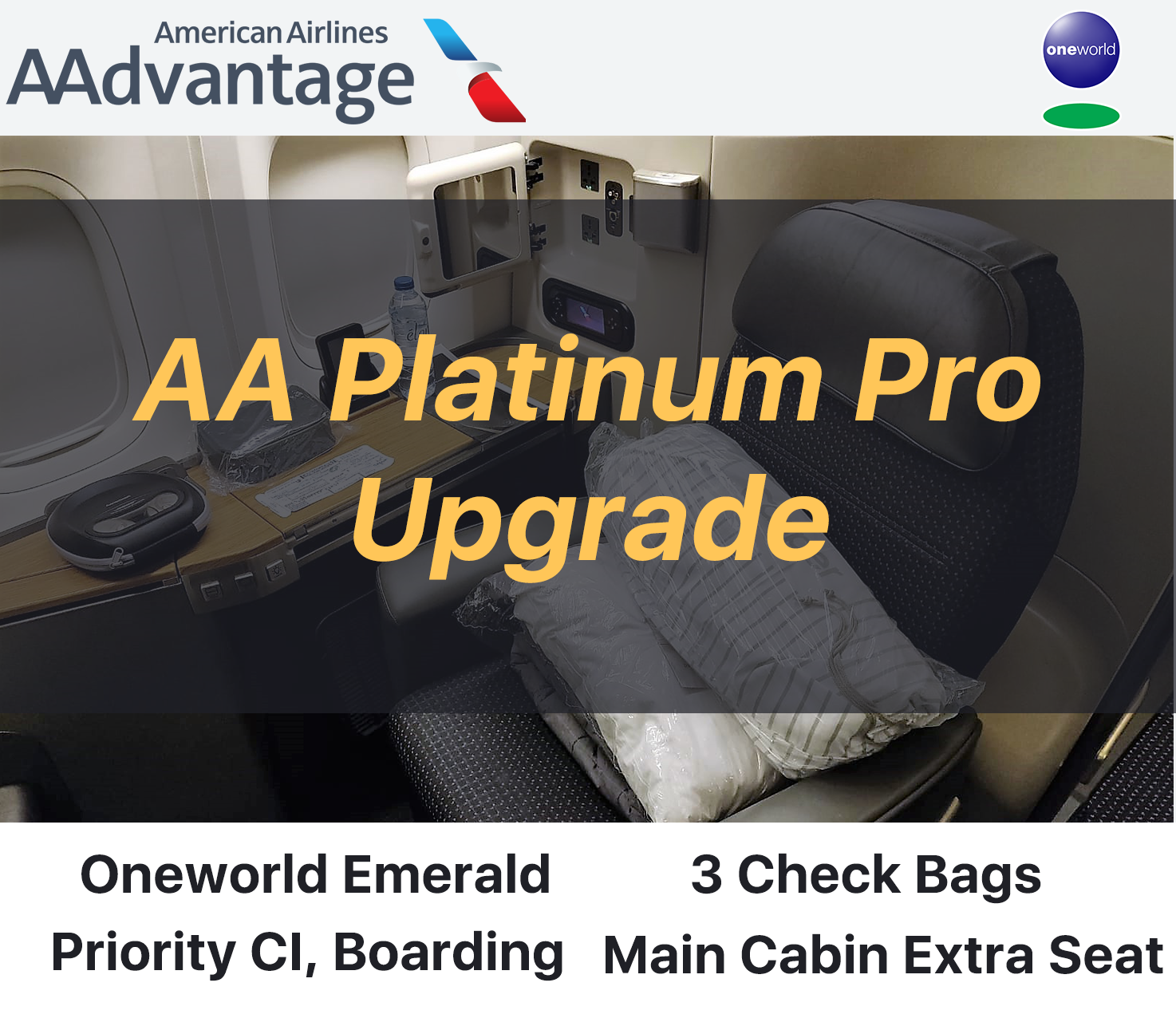 American airlines baggage policy first darf class