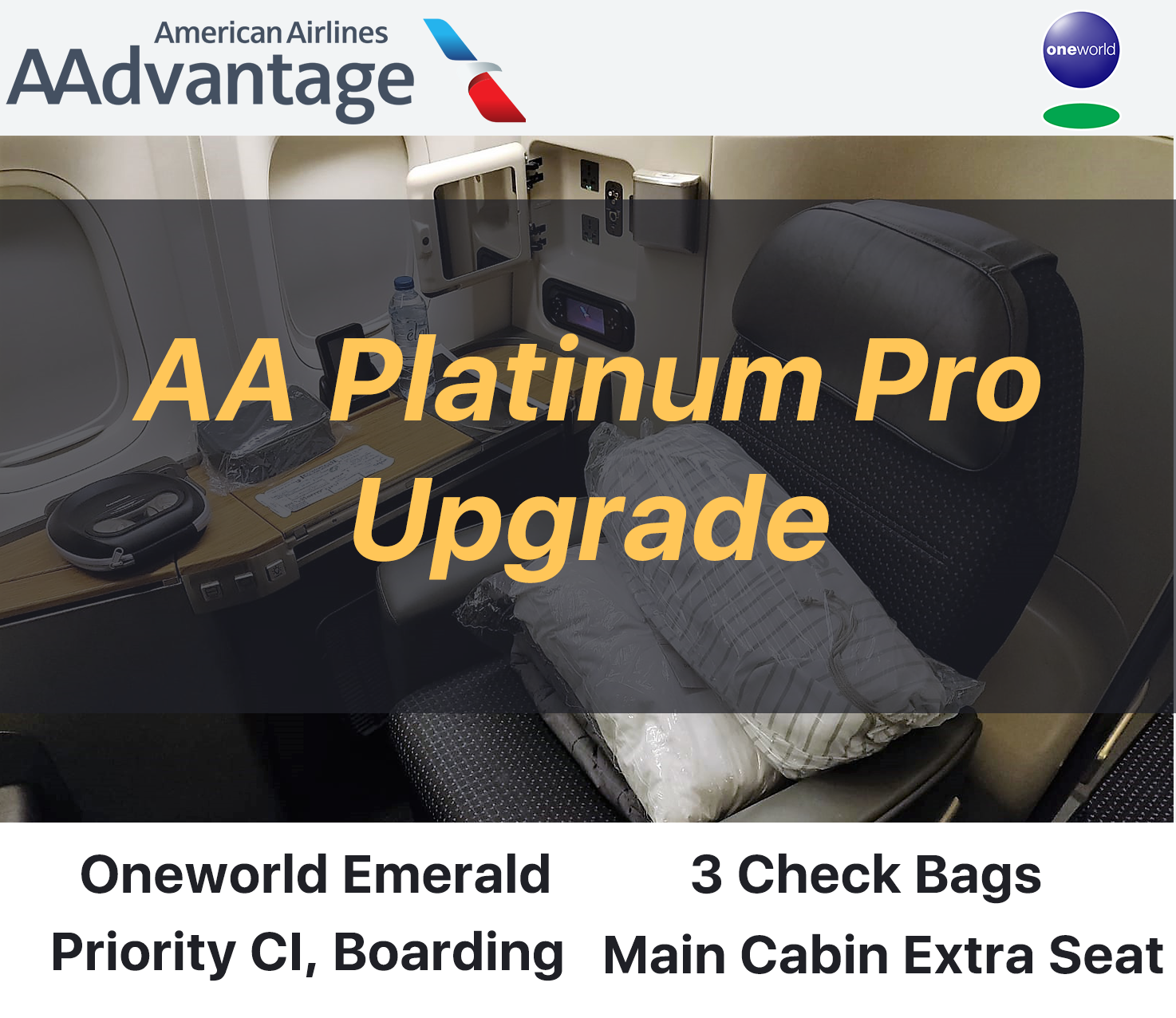 American airlines baggage first inspirant class