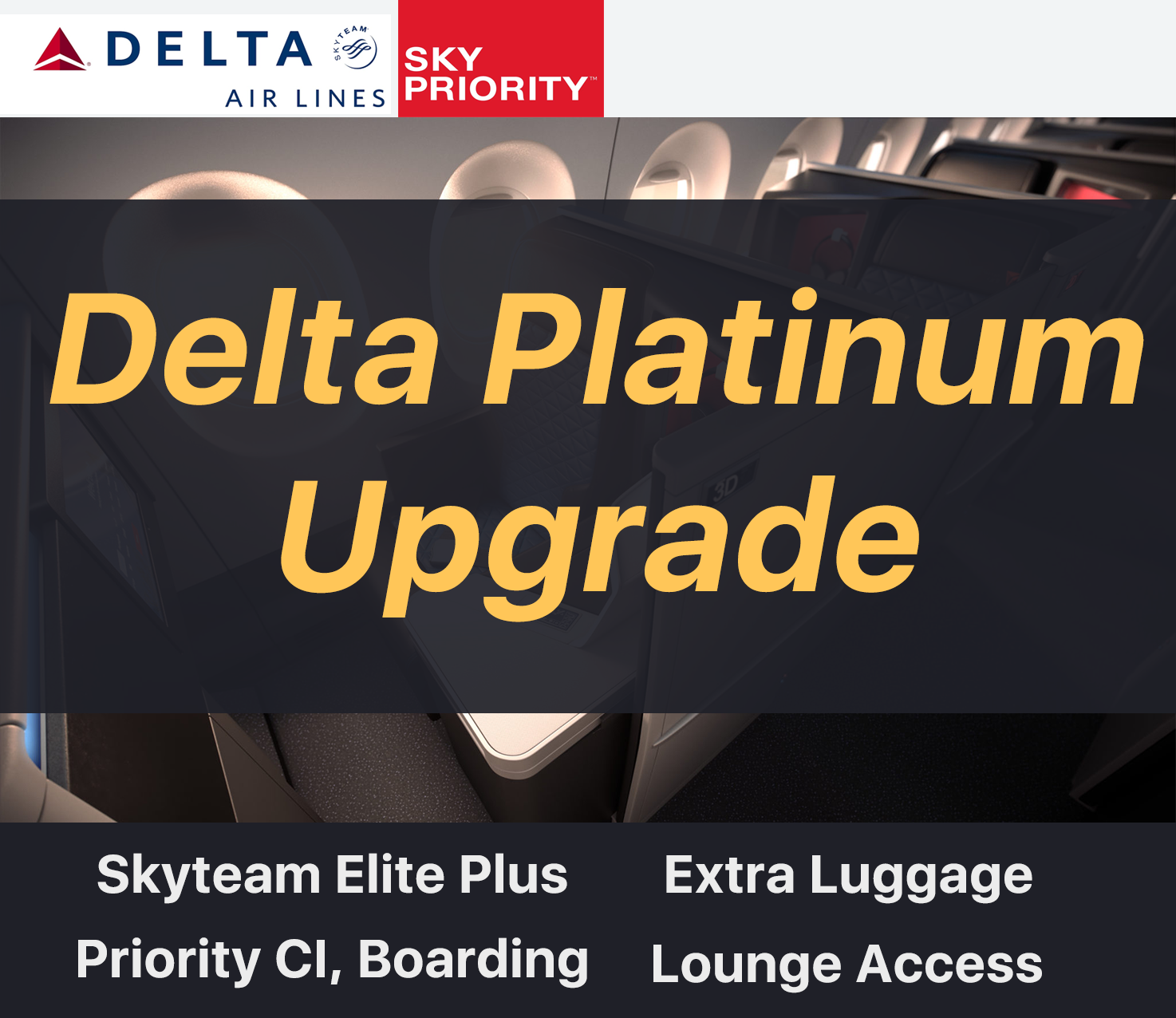 Delta Platinum Upgrade Skyteam Elite Plus – EnvyTravel